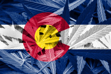 Cannabis User Rights in Colorado