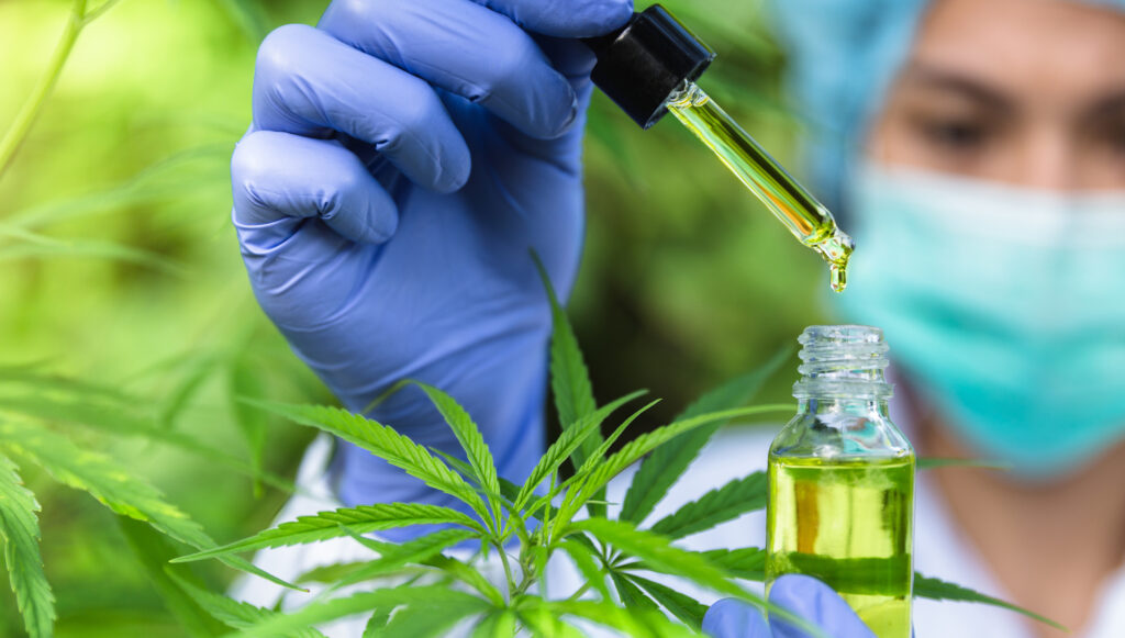 Understanding CBD vs. THC for Medical Use: Which Is Right for You?