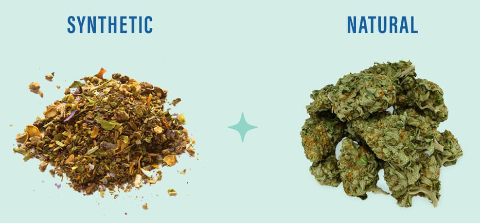 Synthetic Cannabinoids vs. Natural Cannabis: What Consumers Should Know?