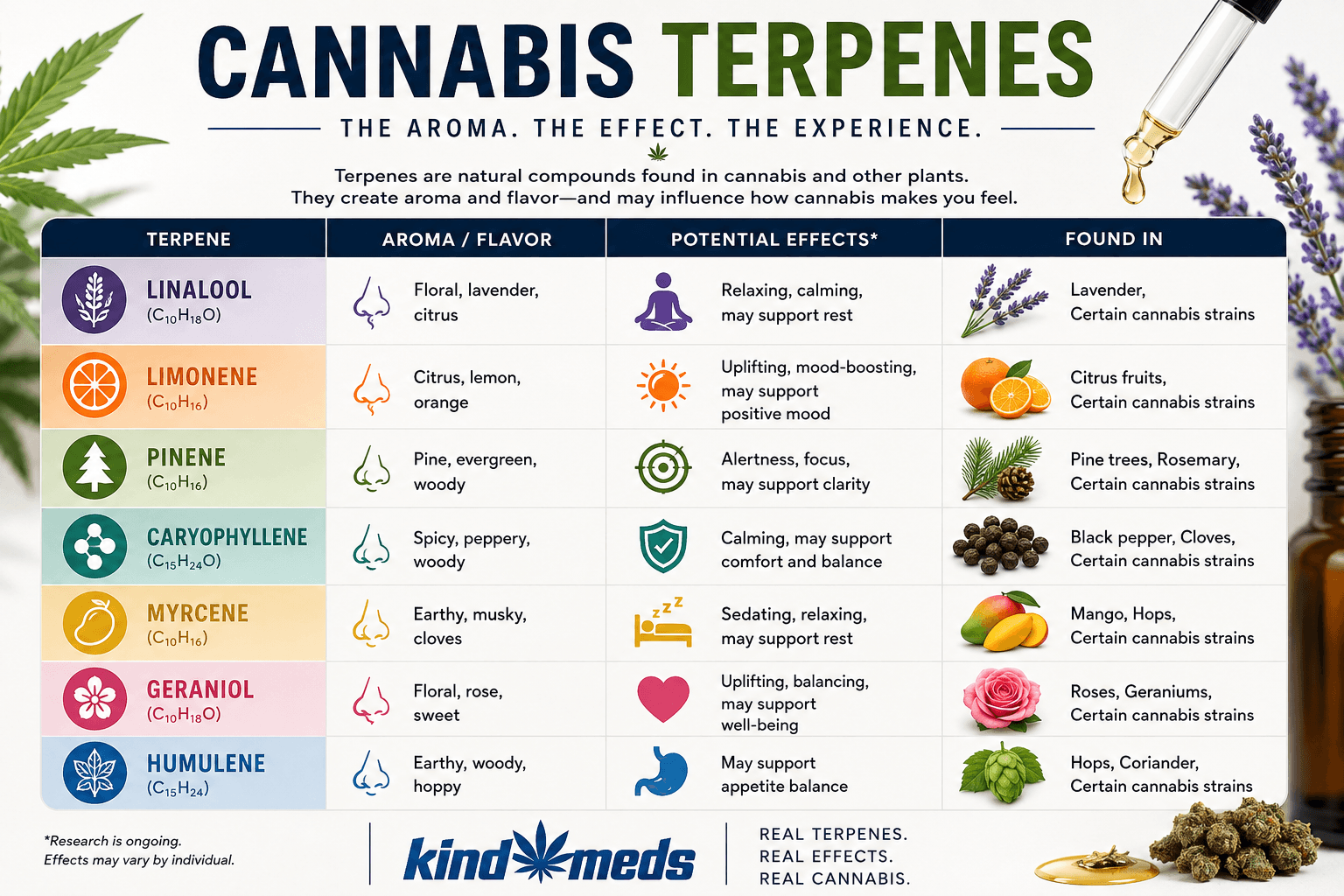 Cannabis terpenes guide by Kind Mes
